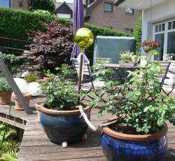 Verstecktes Paradies: Teichgarten von Ute Maassen und Rainer Bos