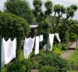 Grüne und weiße Frische im Schrebergarten von Carmen und Theo Maassen