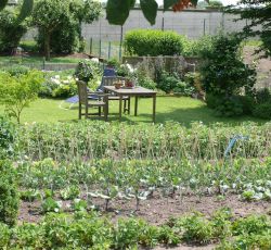 Gemüseanbau und Ziergarten bei Marita Janssen-Arntz