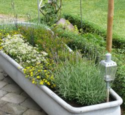 Eine Kräuterwanne im Garten von Gabi und Heiner Evers