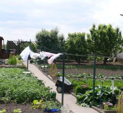 Der üppige Nutzgarten von Paula und Horst Bos