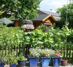 Im Gartenreich von Herbert Kremp